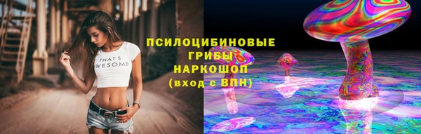 spice Белокуриха